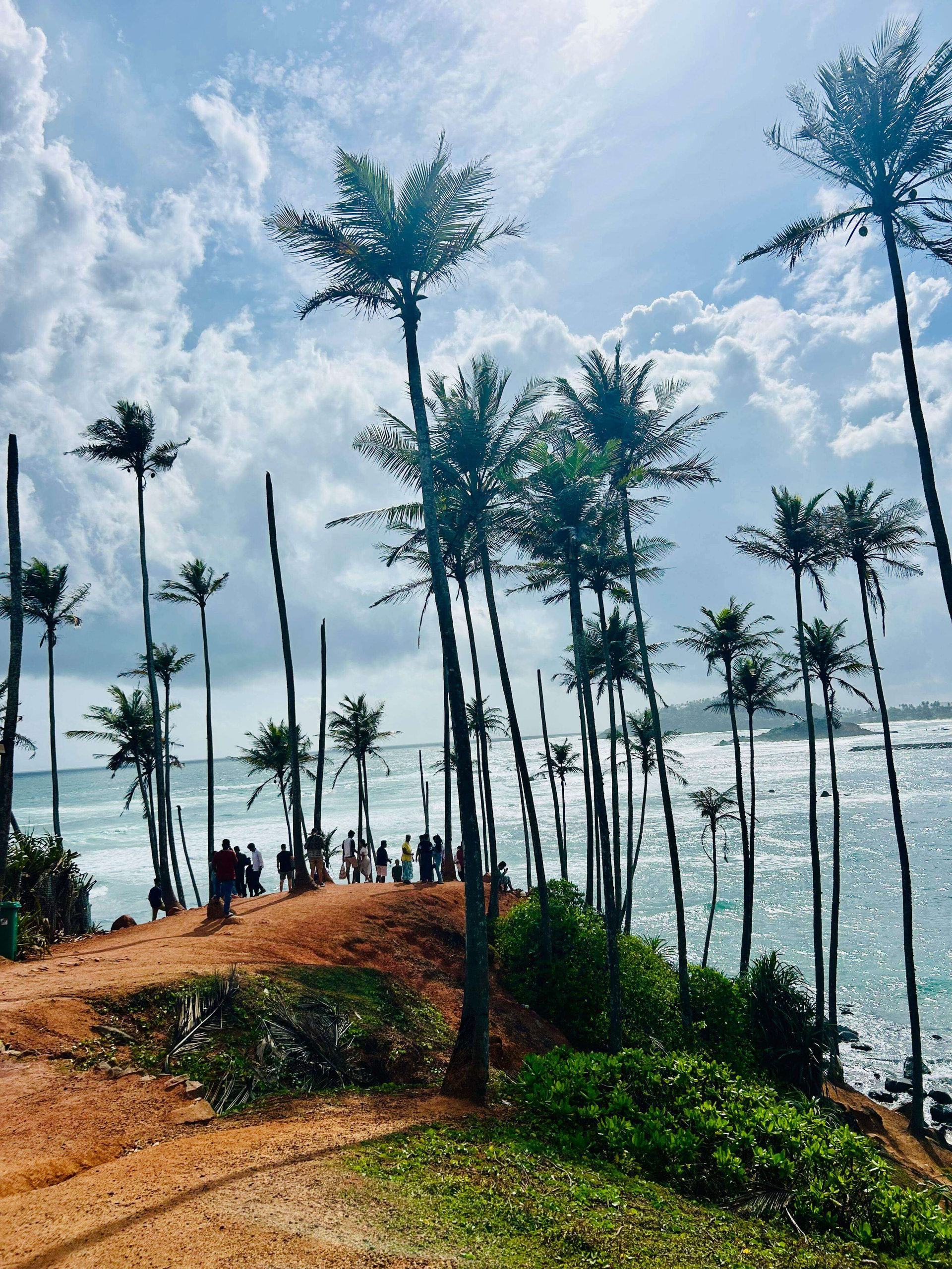 Mirissa Tree Hill