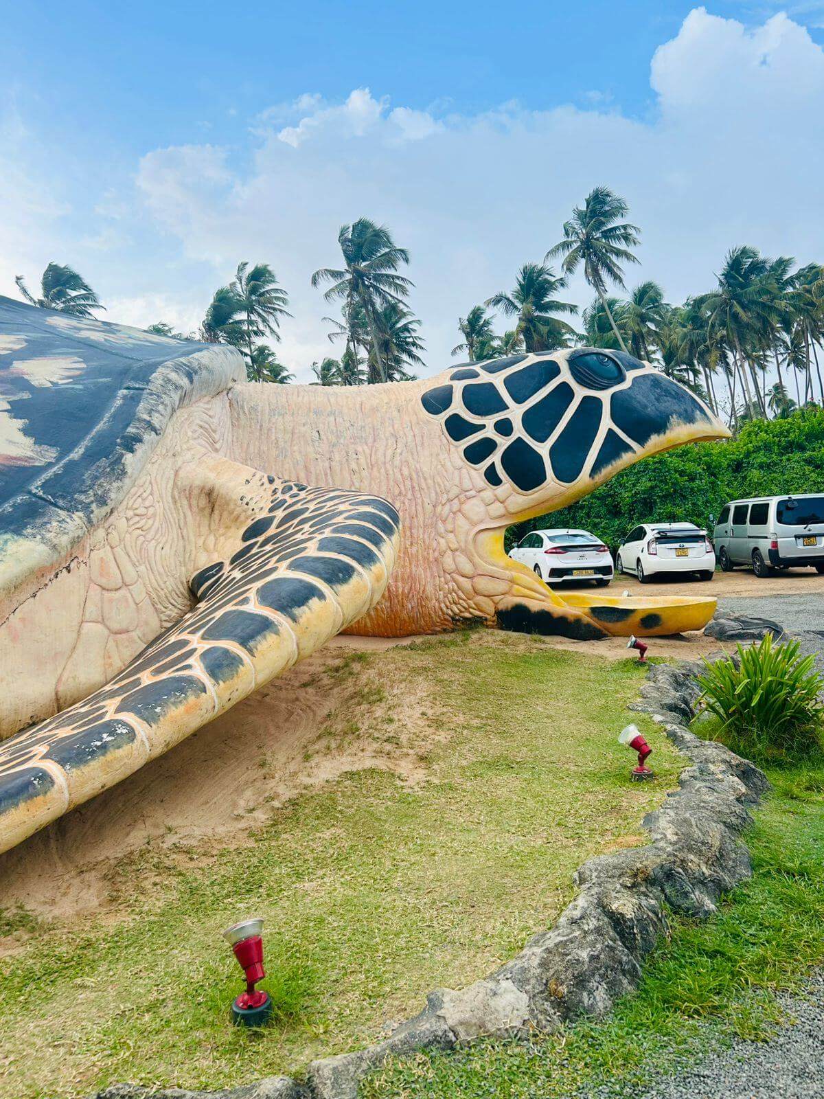 Turtle Hatchery Entrance