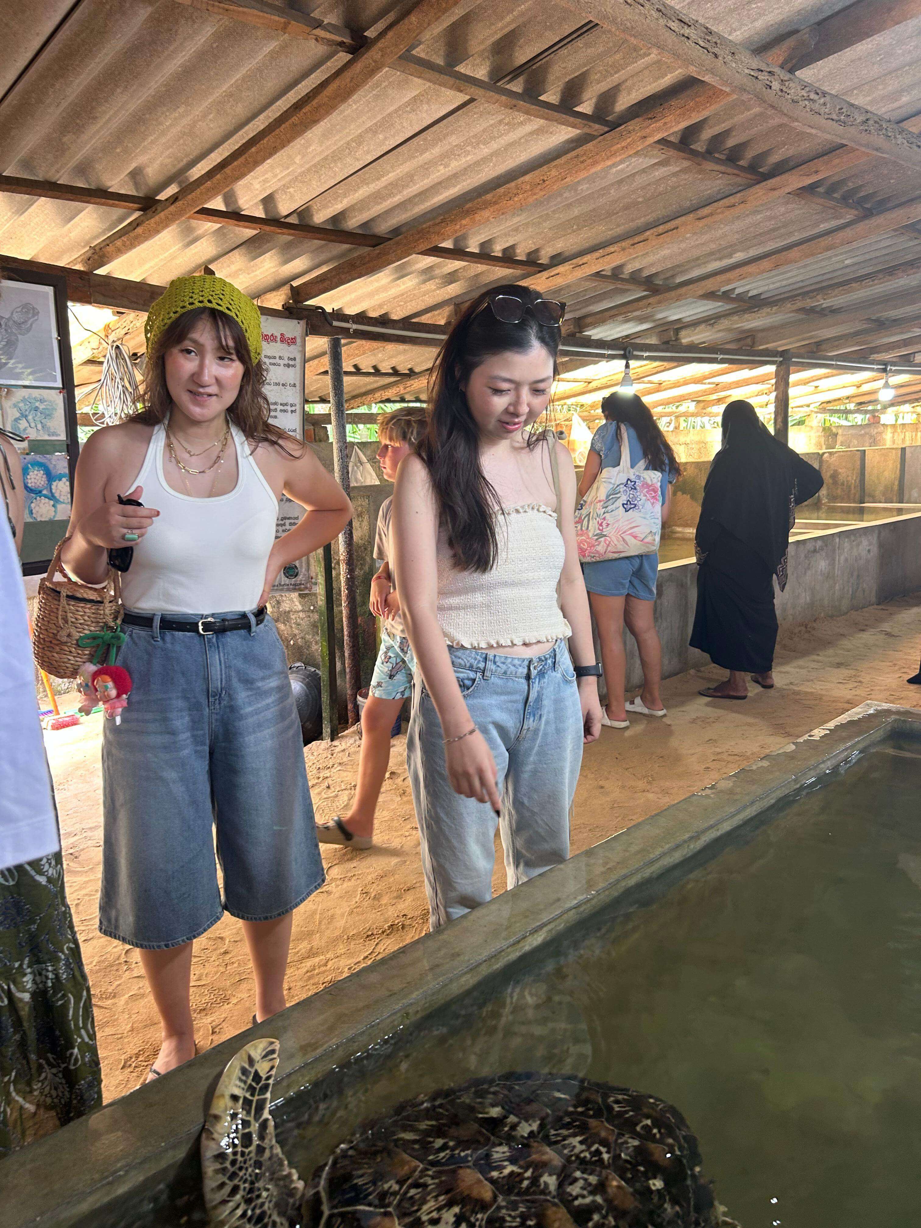 Turtle hatchery Visit