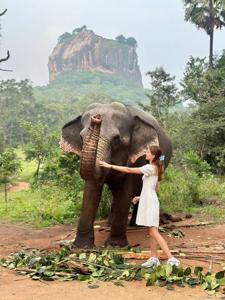 Golden Triangle & Beyond