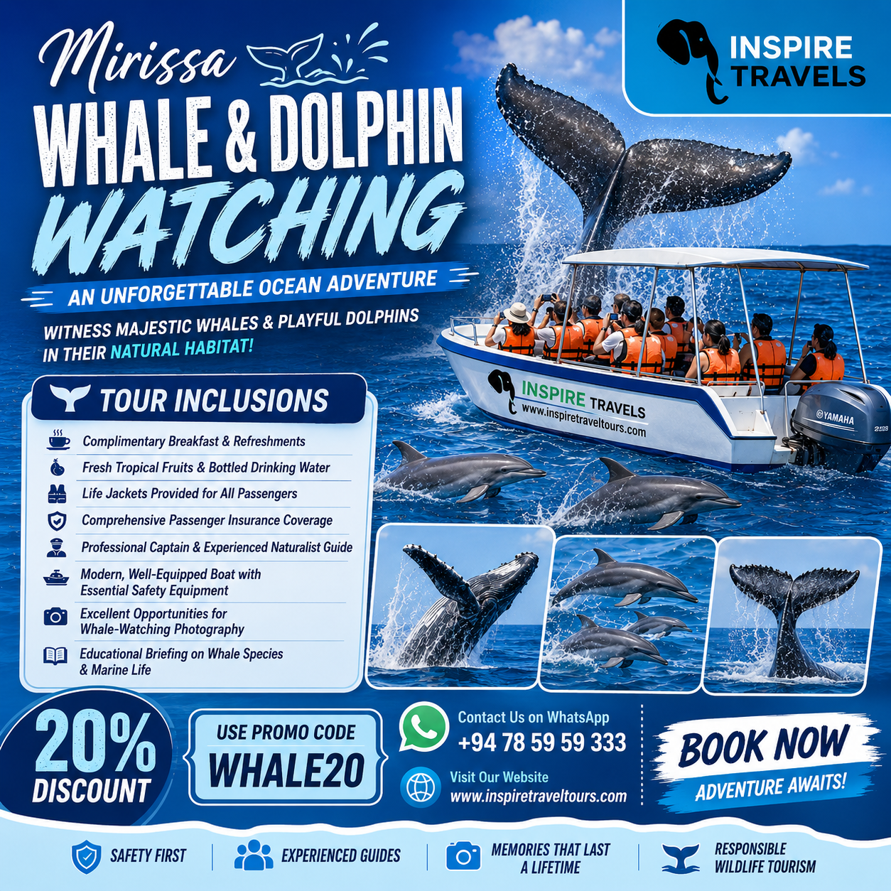 Mirissa Whale & Dolphin Watching Offer